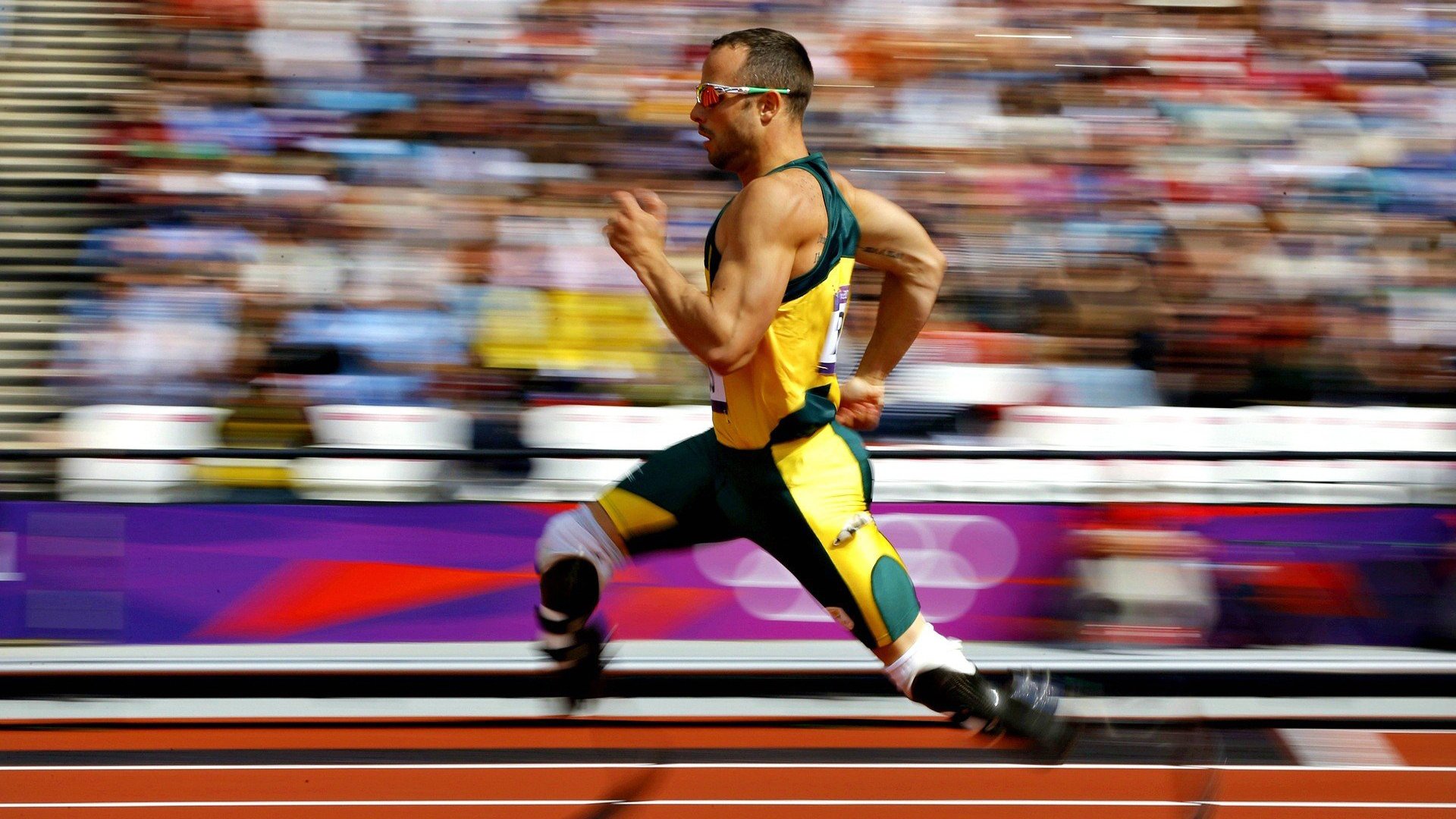 场馆设施智能化建设加快推进,智慧化场馆建设